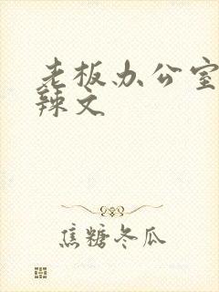 老板办公室系列辣文