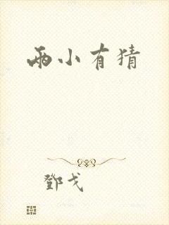 两小有猜封面