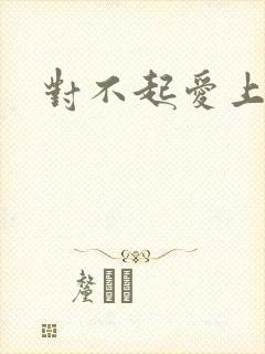 对不起爱上你