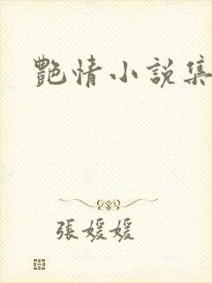 艳情小说集封面