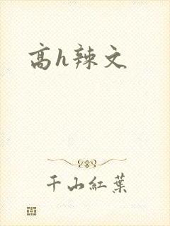 高h辣文封面