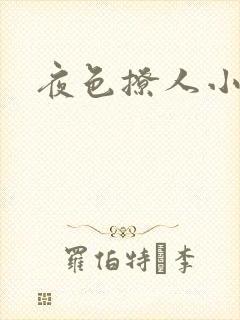 夜色撩人小说