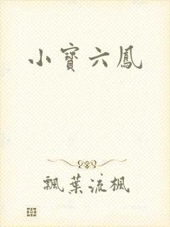 小宝六凤