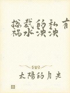 总裁的私有宝贝祸水泱泱