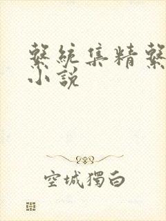系统集精系统 小说封面