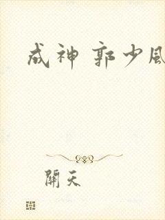 成神 郭少风封面