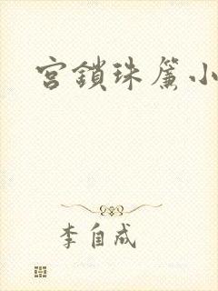 宫锁珠帘小说封面