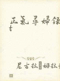 正气寻妇录txt
