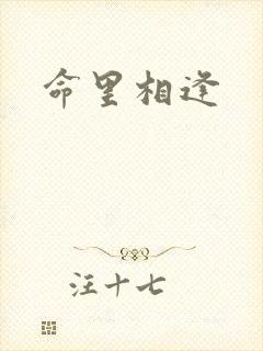 命里相逢
