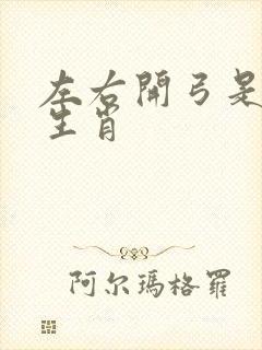 左右开弓是什么生肖