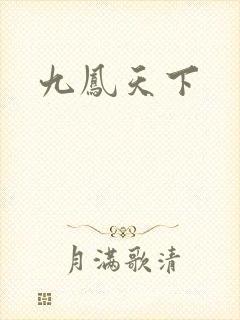 九凤天下封面