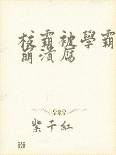 校霸被学霸玩到崩溃腐封面