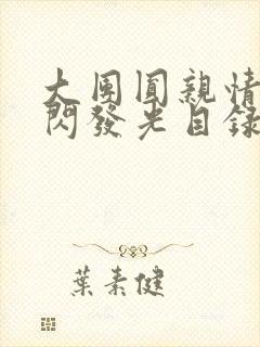 大团圆亲情会闪闪发光目录封面