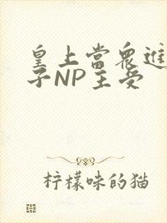 皇上当众进入太子NP主受封面