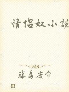 情侣奴小说