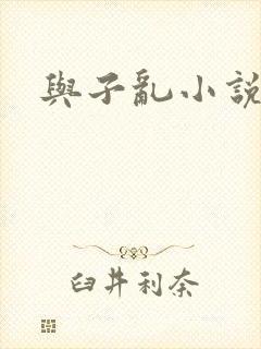 与子乱小说