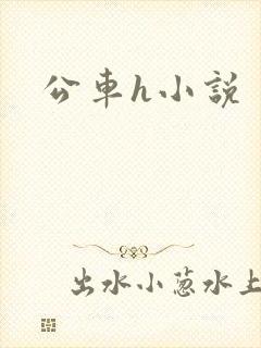 公车h小说