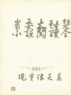 省委大秘楚东恒小说阅读全文