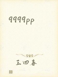 9999pp封面