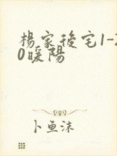 杨家后宅1-20暖阳