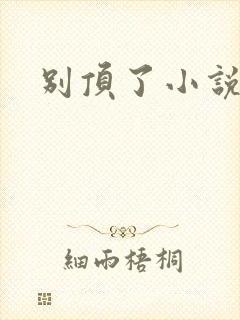 别顶了小说