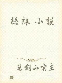 丝袜 小说封面