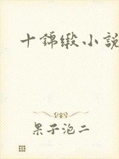十锦缎小说