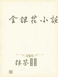 金银花小说乐可