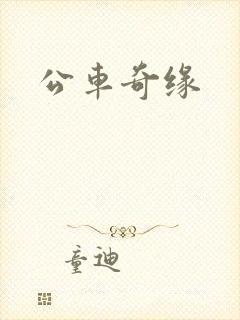 公车奇缘
