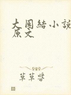 大团结小说阅读原文