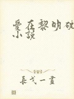 爱在黎明破晓前小说
