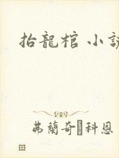 抬龙棺 小说