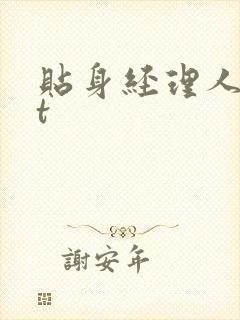 贴身经理人txt