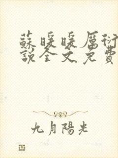 苏暖暖厉衍琛小说全文免费阅读