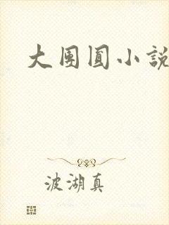 大团圆小说