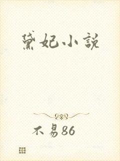 黛妃小说