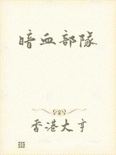 暗血部队封面