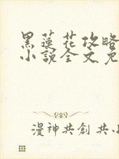 黑莲花攻略手册小说全文免费阅读笔趣阁封面