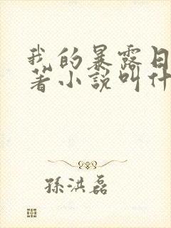 我的暴露日记原著小说叫什么