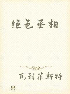 绝色丞相