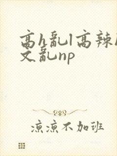 高h乱l高辣h文乱np封面