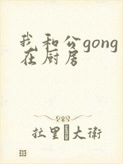 我和公gong在厨房封面
