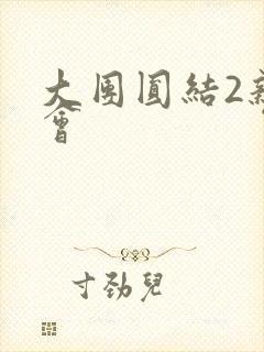 大团圆结2亲情会