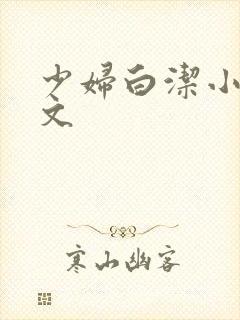 少妇白洁小说全文