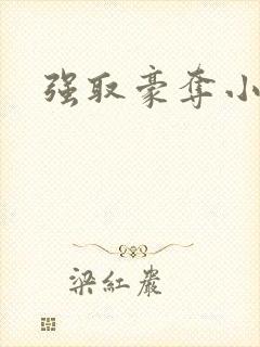强取豪夺小说