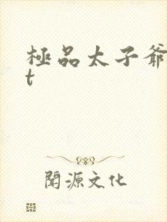 极品太子爷txt