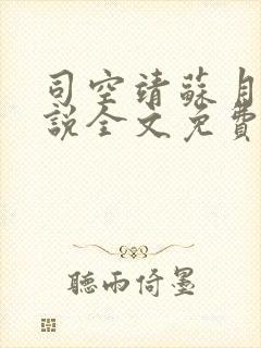 司空靖苏月汐小说全文免费阅读封面