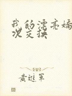 我的漂亮娇妻初次交换