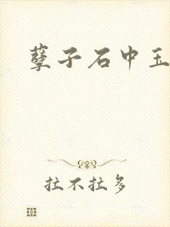 孽子石中玉
