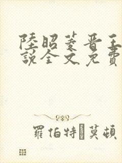 陆昭菱晋王的小说全文免费阅读